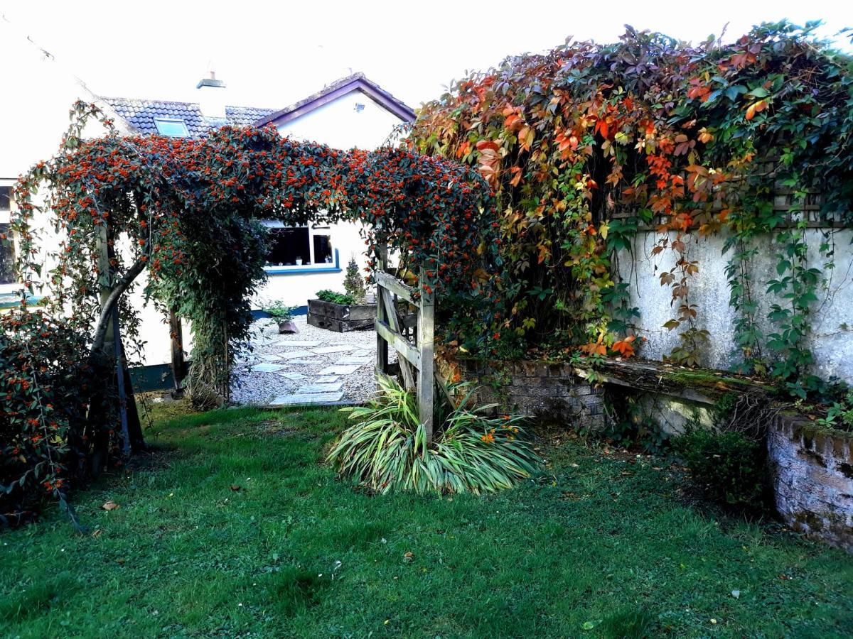 Country Home Tara Rathfeigh Εξωτερικό φωτογραφία